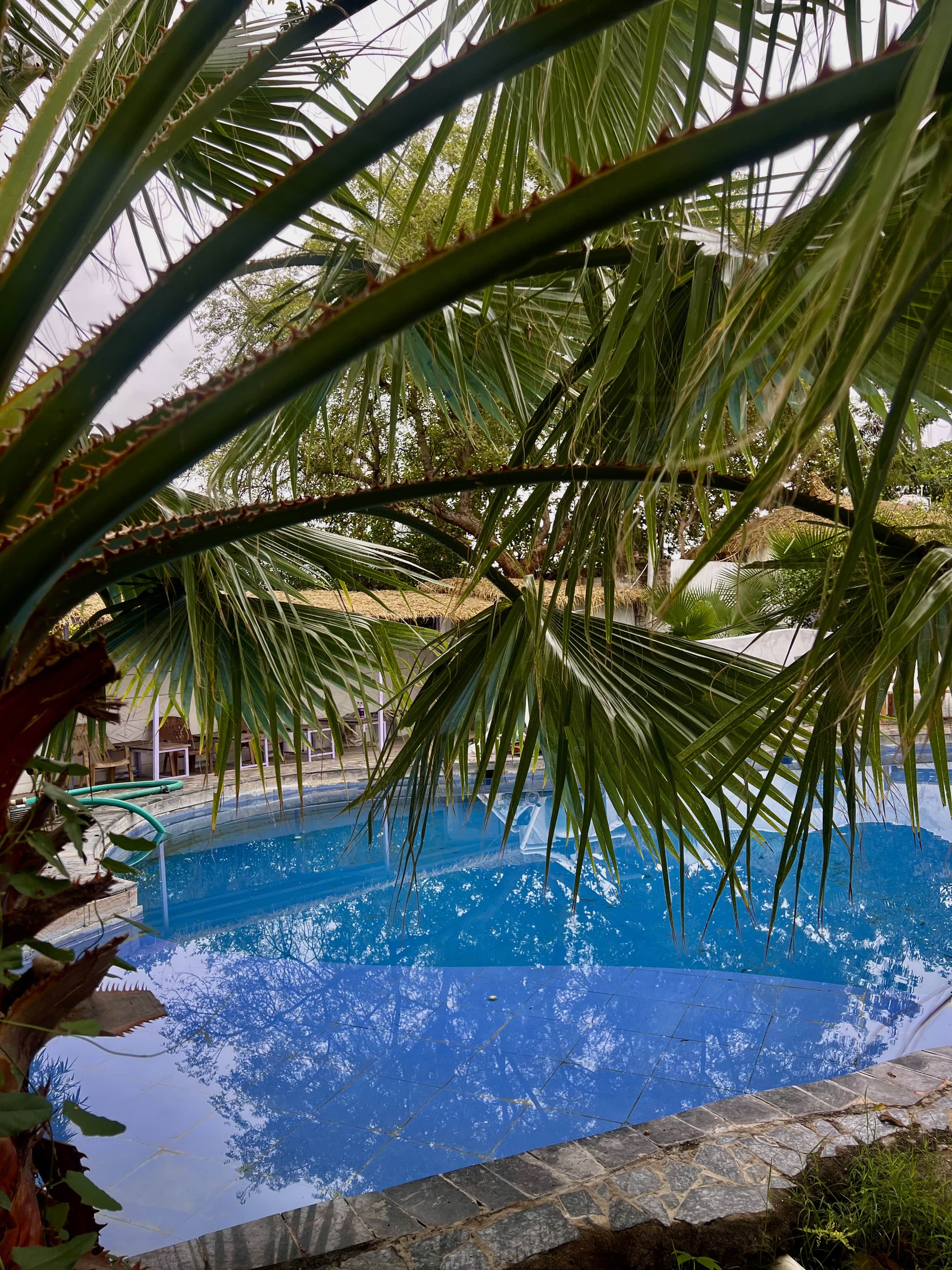 resort_swimming_pool